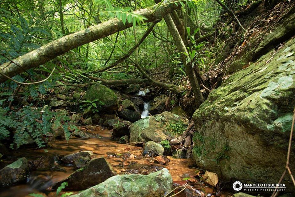 Sitio Serra Das Paineiras Vila Jundiaí Exterior foto