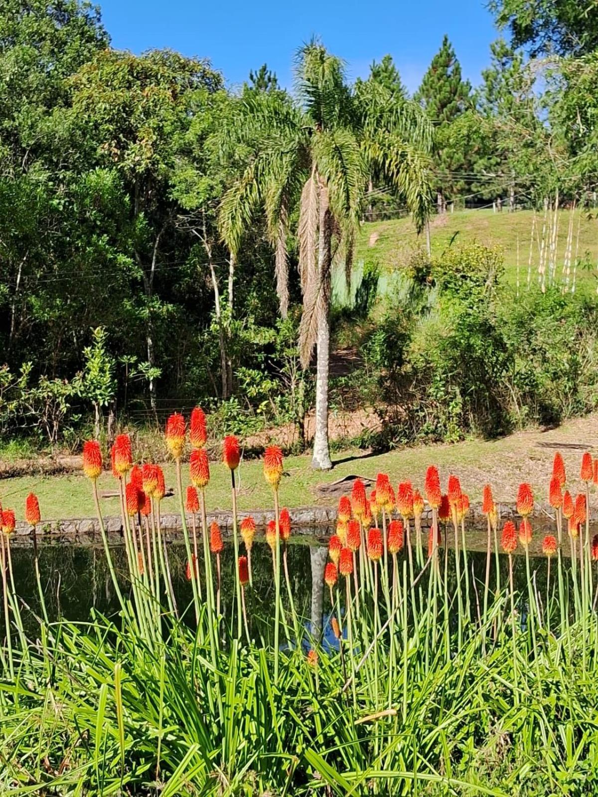 Sitio Serra Das Paineiras Vila Jundiaí Exterior foto